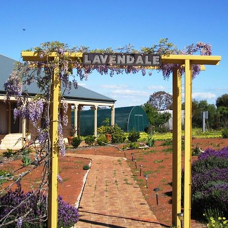 Lavendale Country Retreat Βίλα York Εξωτερικό φωτογραφία
